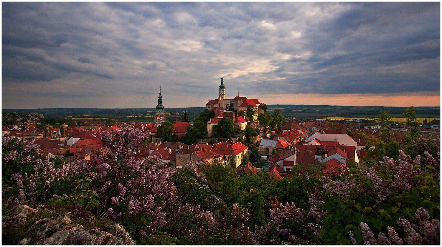 город, чехия, вечер, камни, замок, Oleg Dmitriev