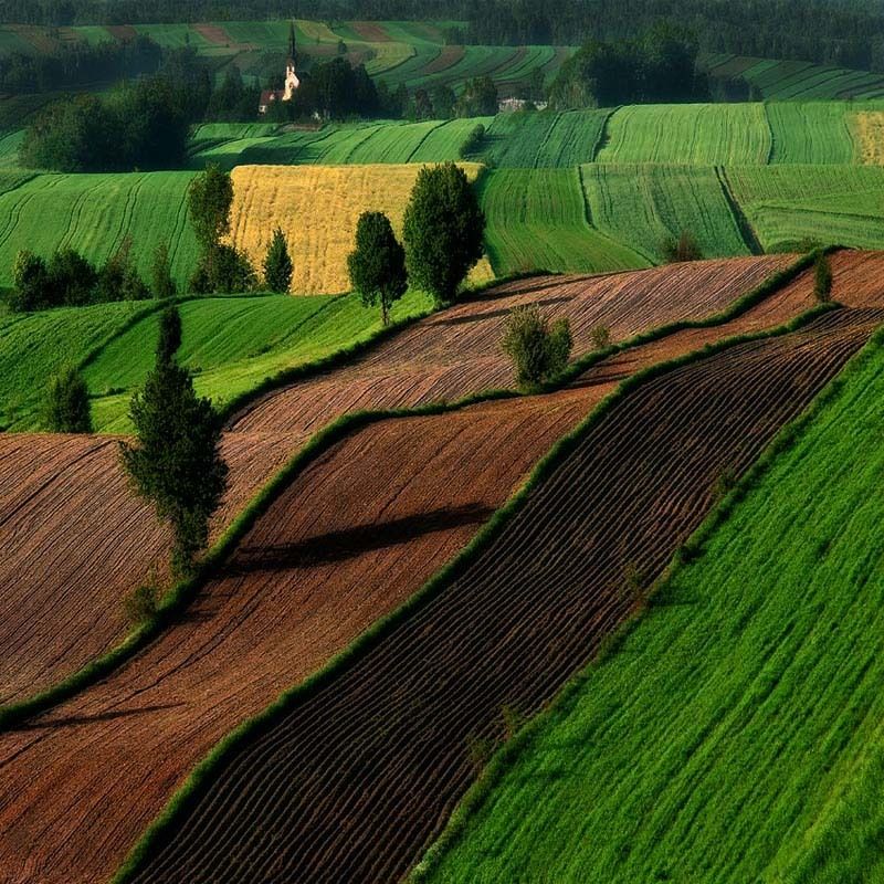 Landscapes_14photo preview