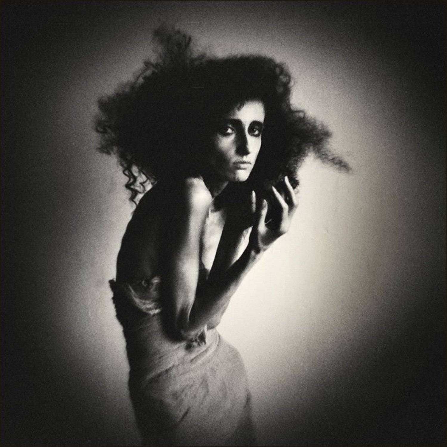 портрет чёрной хризантЭммы.... Автор: Ульф Хедхинн , Ульф Хедхинн