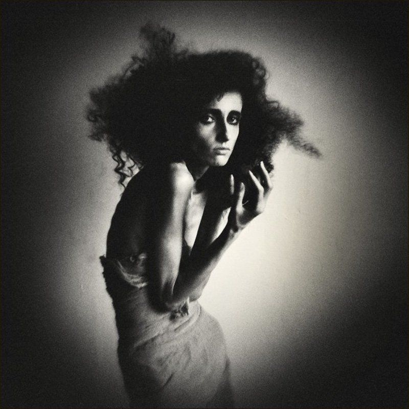 портрет чёрной хризантЭммы...photo preview