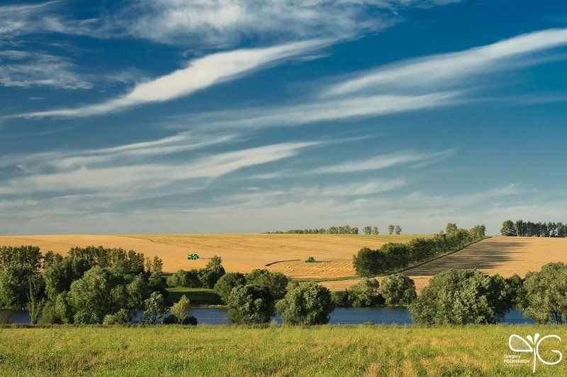 белогорье, поле, пшеница, комбайн, август, урожай, хлеб, россия, небо, вечер Уборка хлебаphoto preview