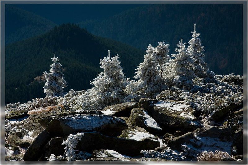 Дмитрий Бобошкоphoto preview