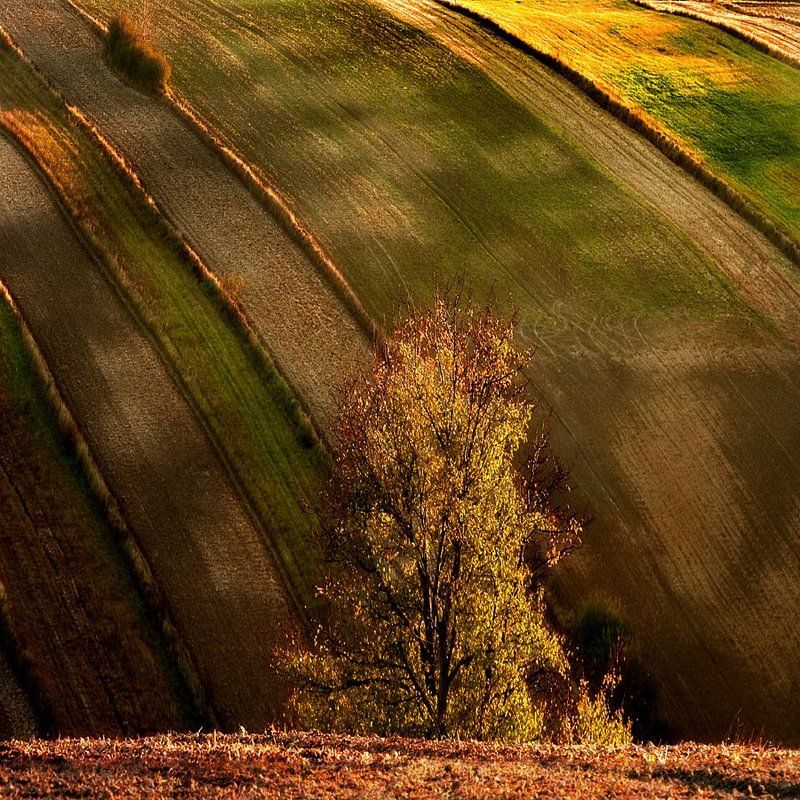 Landscapes_15photo preview