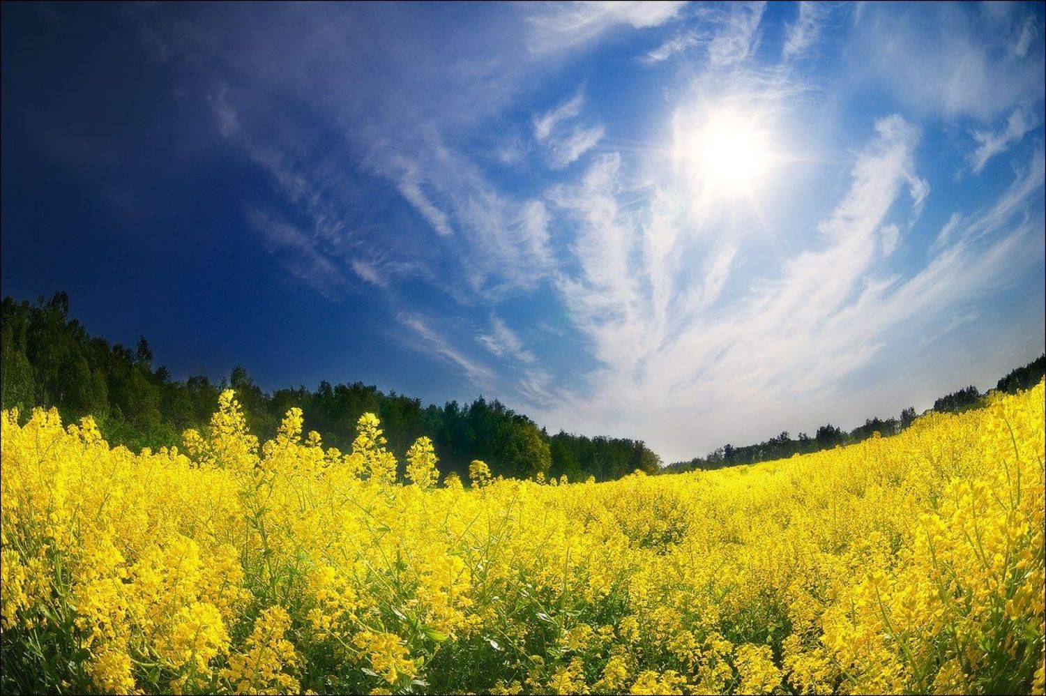 , Владимир Кириллов