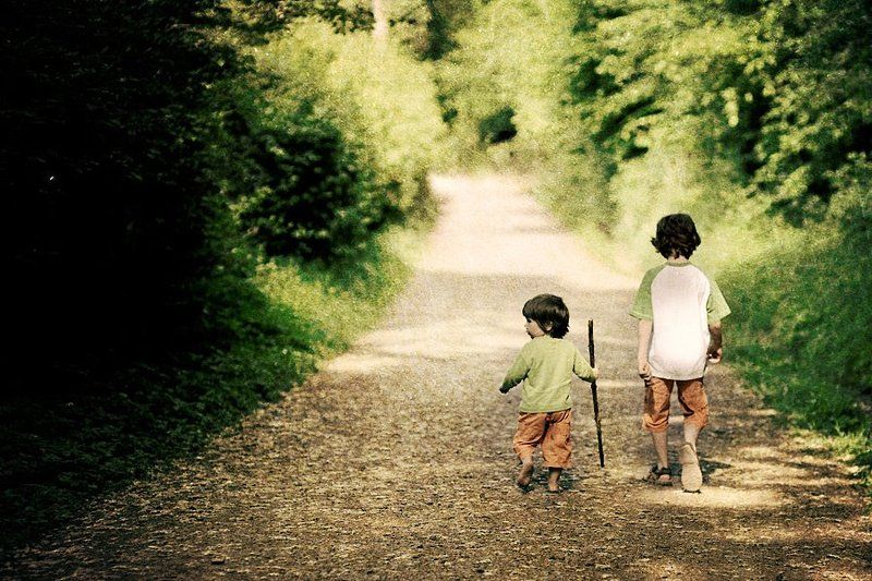 Двое по дороги... (как в сказке)photo preview