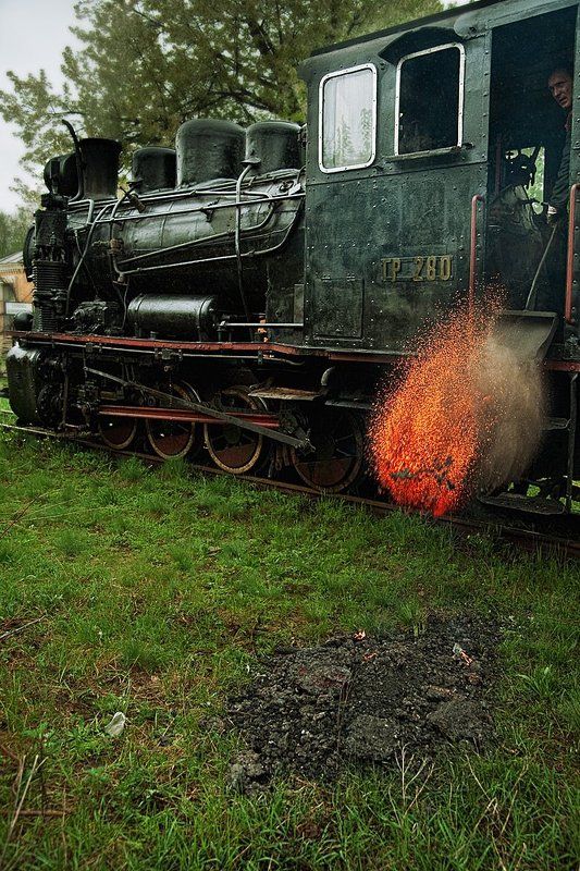 паровоз, уголь, машинист, _____photo preview