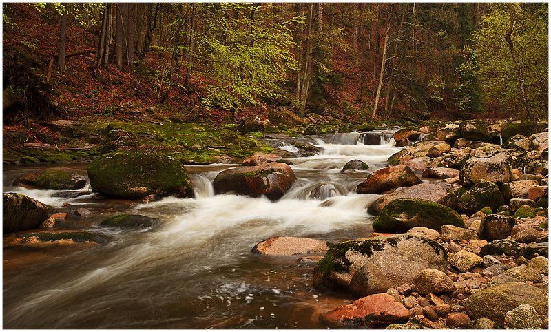 природа, пейзаж, лес, река, камни, листва воды стремительный потокphoto preview