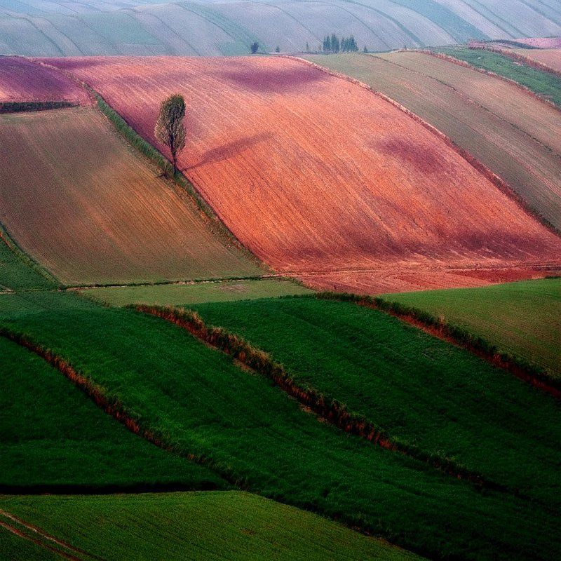 Поля_1photo preview