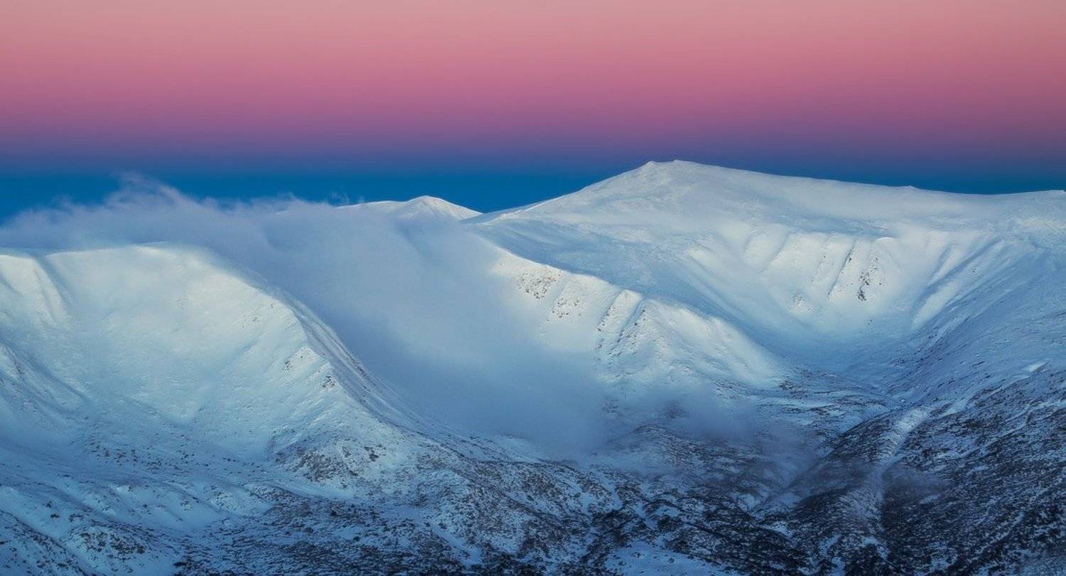 ***. Автор: Денис Кривой , Денис Кривой