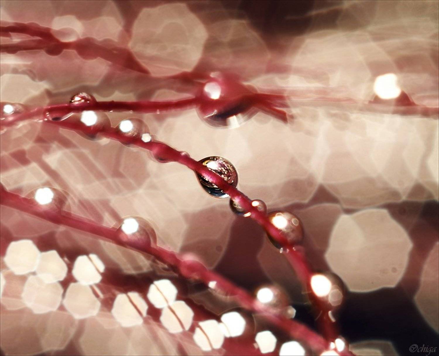 В суете звёзд. Автор: Chiga вода, капли, Chiga