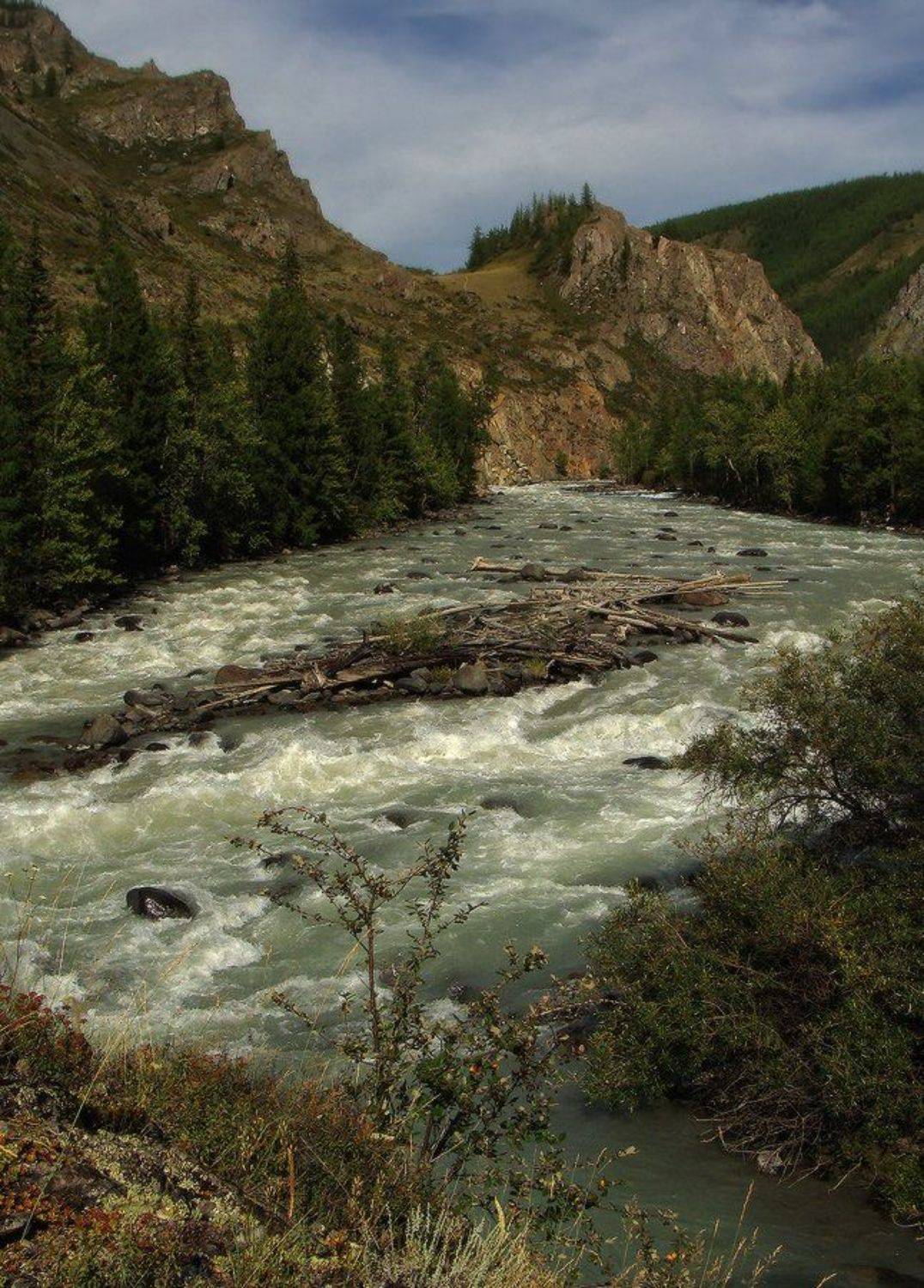 Сердитая Чуя. Автор: Галина Хвостенко , Галина Хвостенко