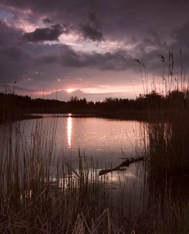 Дело было вечером...photo preview