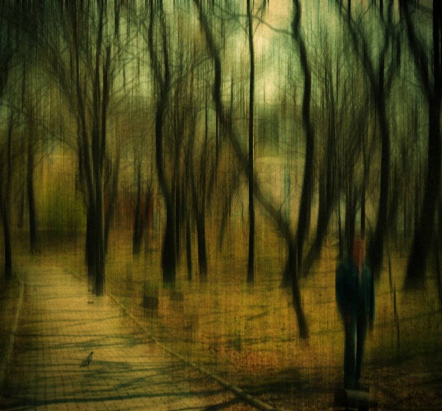 деревья, лес, абстракция, Зуева Юля