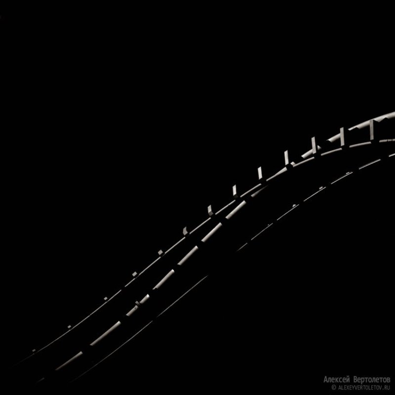 позвоночник, звенья, алексей вертолетов Позвоночноеphoto preview