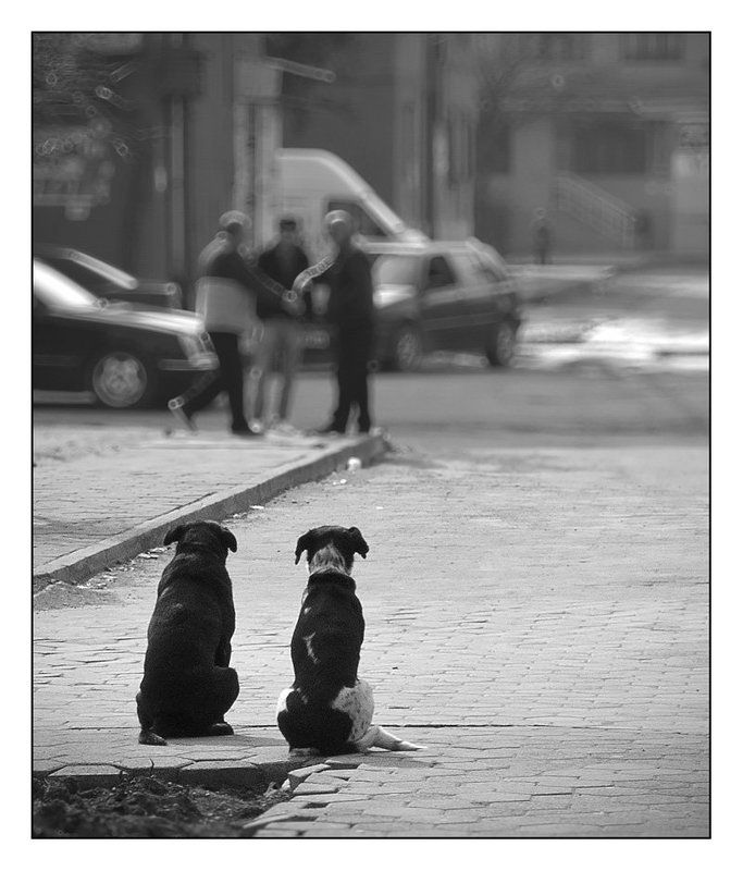 свидетели Свидетелиphoto preview