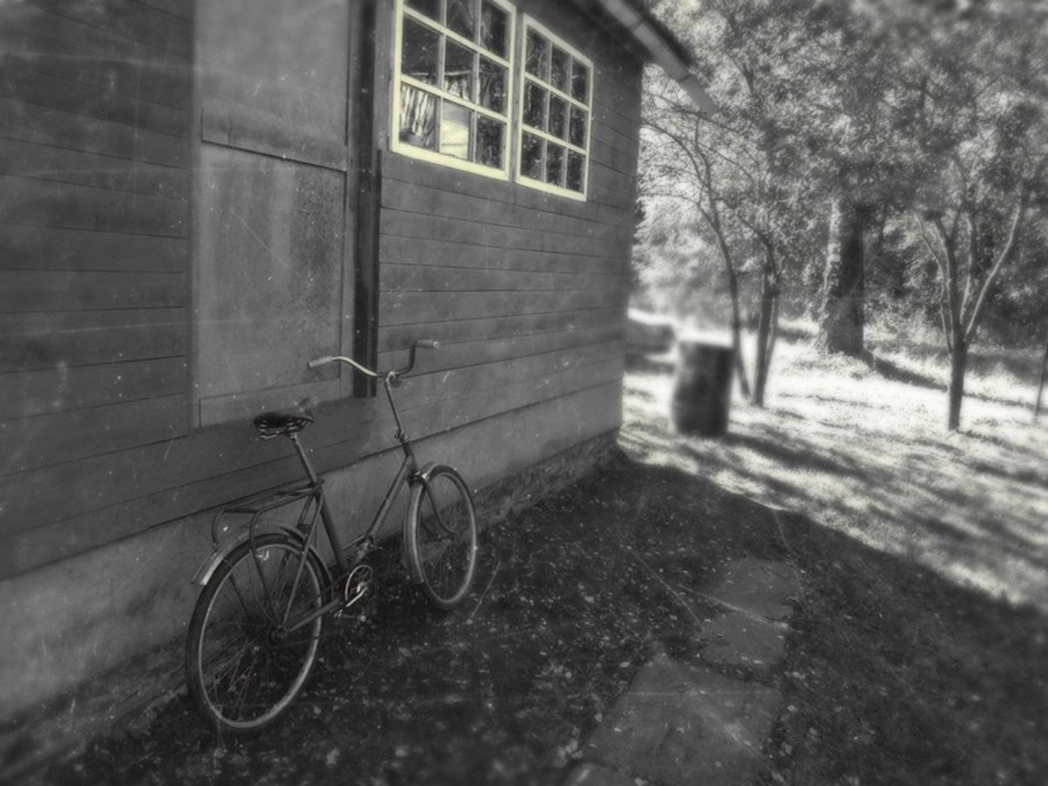 , Семёнова Юлия