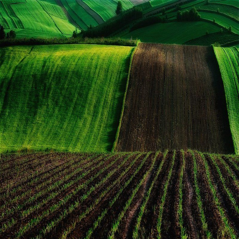 Поля_2photo preview