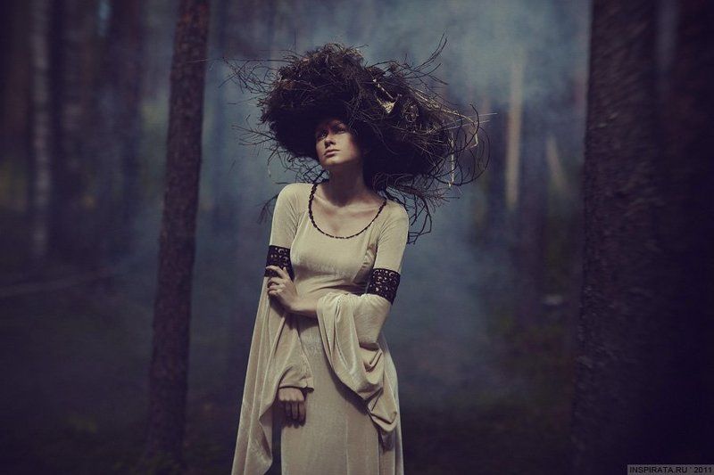 Викаphoto preview