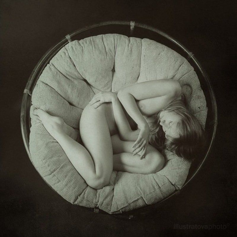 Embryo Emblemphoto preview