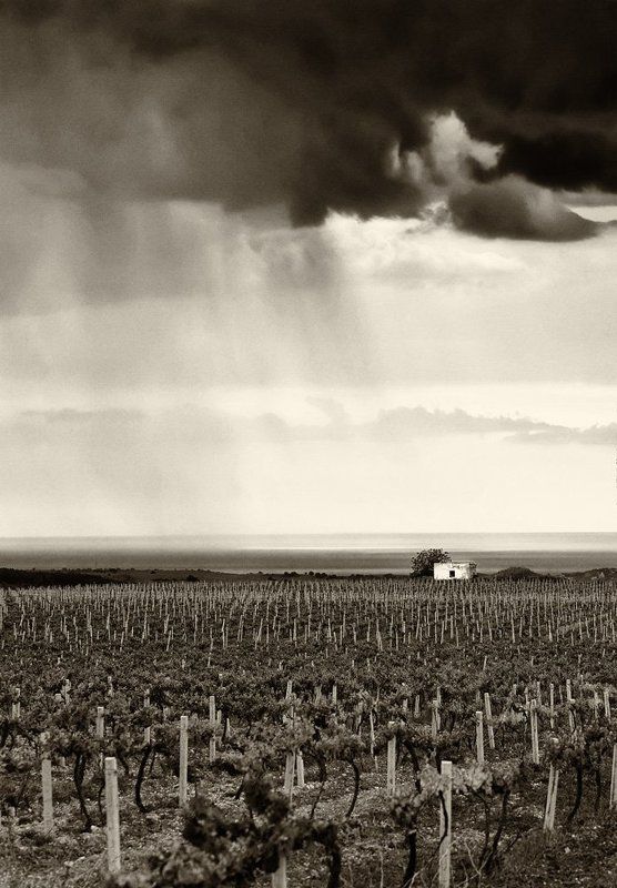 Майский дождьphoto preview