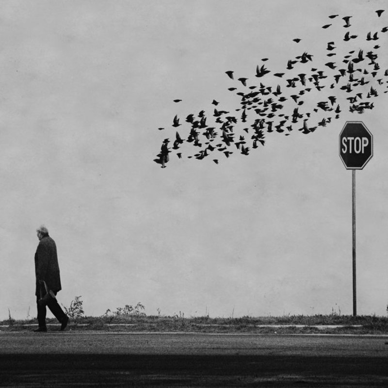 NonSTOPphoto preview