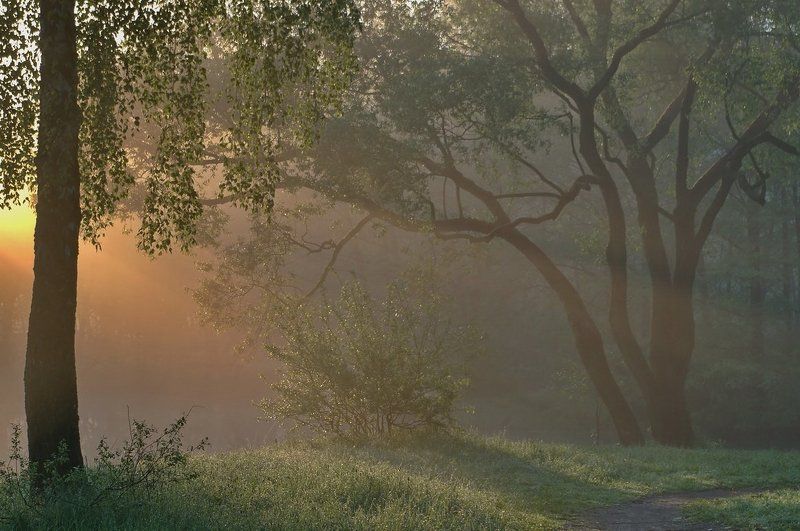 Сейчас выйдет фавн!photo preview