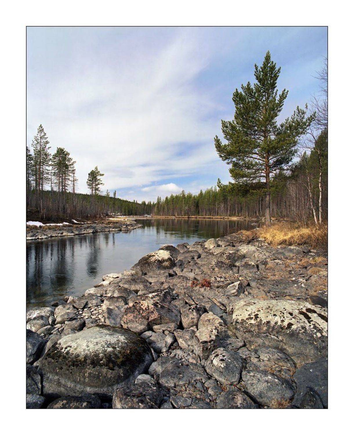 ~~*--. Автор: Дмитрий Лялин , Дмитрий Лялин