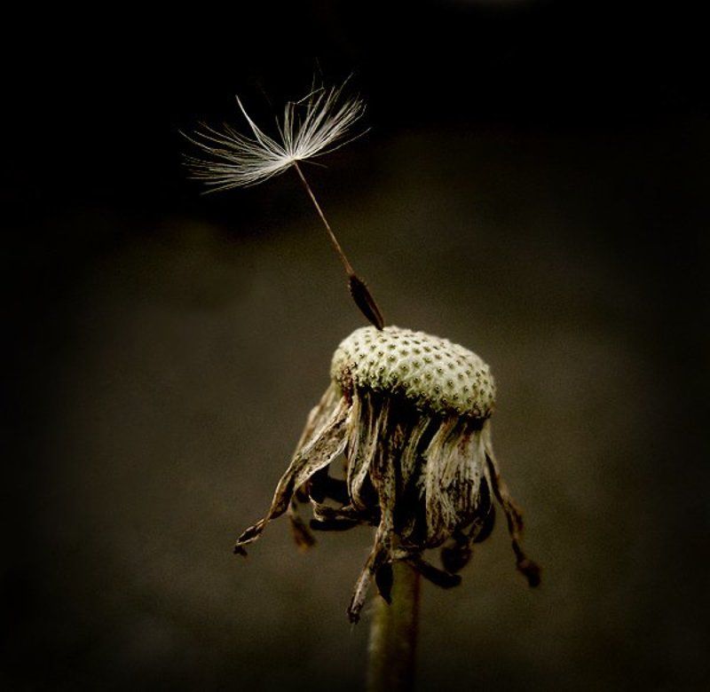 Последнийphoto preview