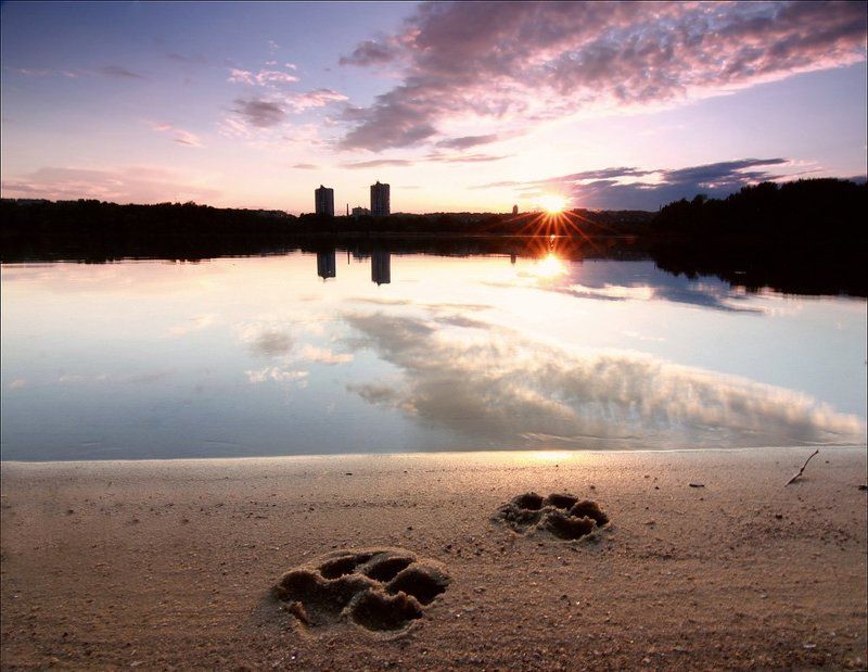 Дело было вечером...photo preview