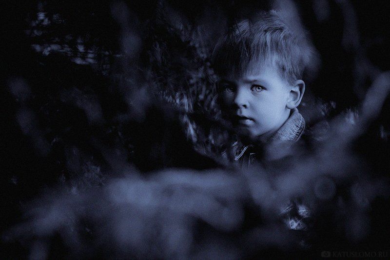 темной ночью, в темном лесеphoto preview