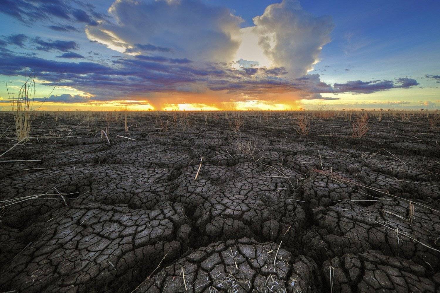 В ожидании дождя. Автор: Олег Загидуллин , Олег Загидуллин