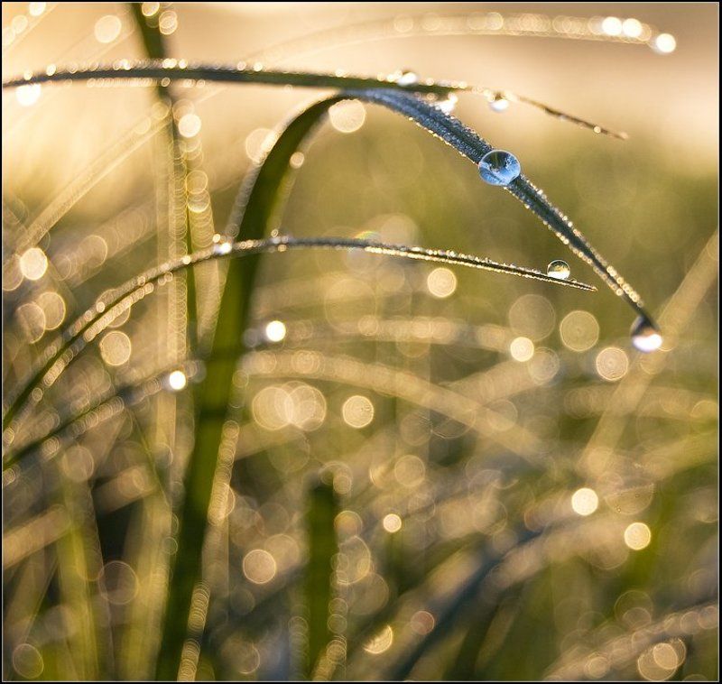 состояние души...photo preview