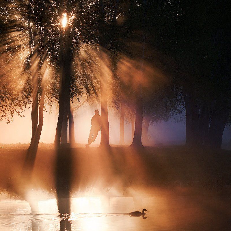 Утро в паркеphoto preview