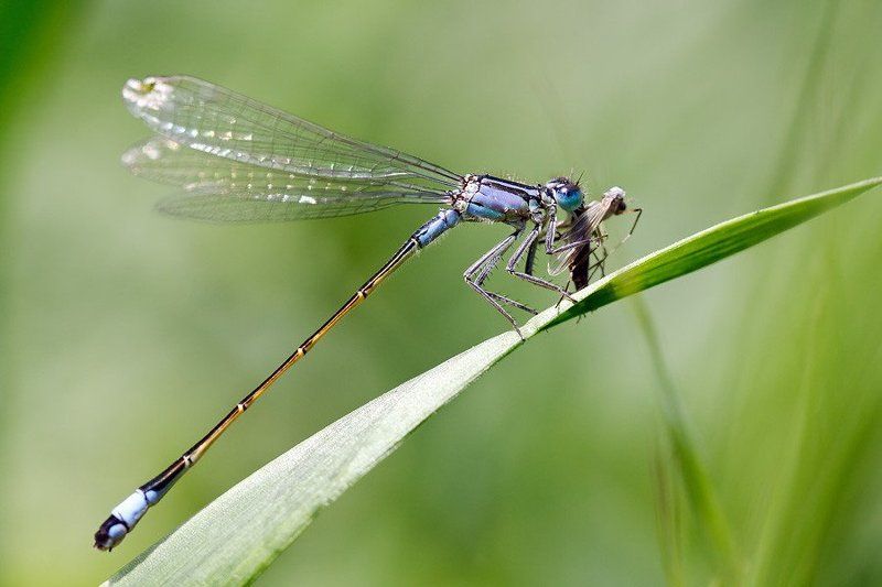 Охота на охотниц фото превью