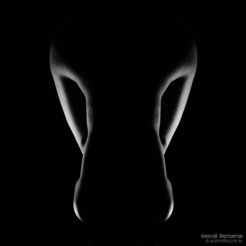 нос, тело, нагота, абстракция, алексей вертолетов Носphoto preview
