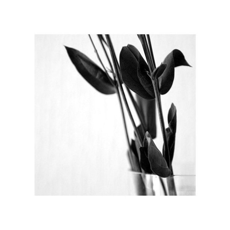 Простые вещиphoto preview