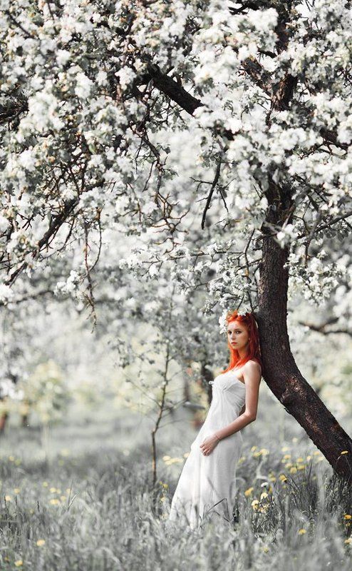 Яблоневый свет...photo preview