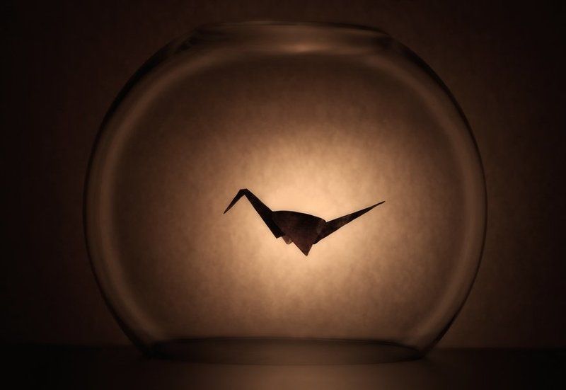 оригами, клетка, стекло Мне бы в небо...photo preview