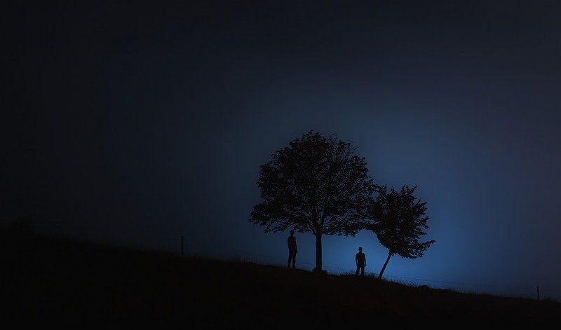 дерево,силует силуетphoto preview