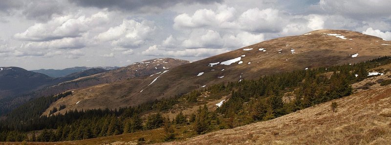 ... фото превью