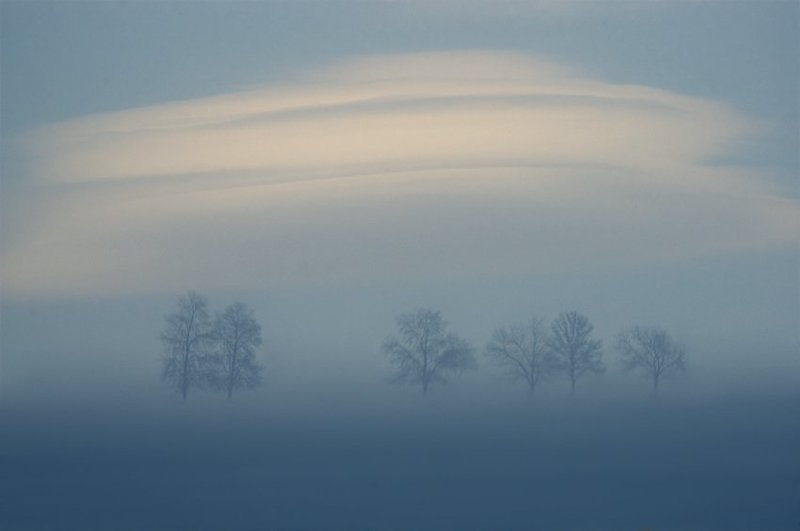 Dreaming in Bluephoto preview