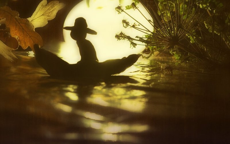 К далёким берегам...photo preview