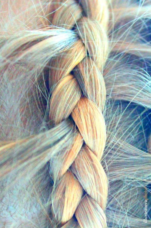 Plaitingphoto preview