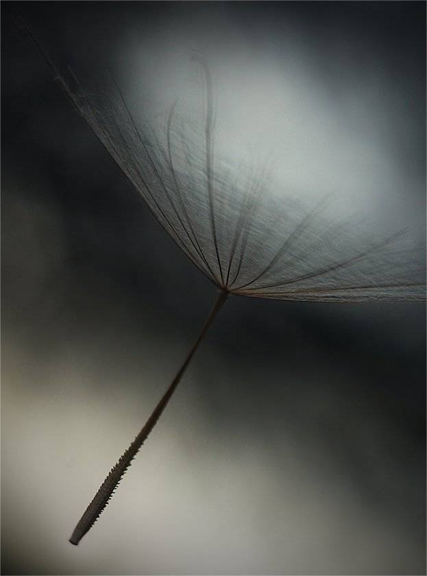 письмо.... Автор: Наталья Ова , Наталья Ова