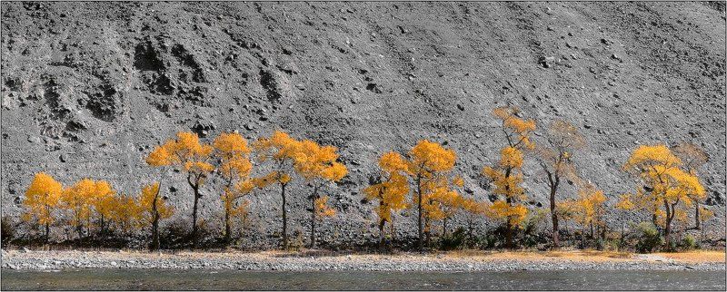 монголия, ховд black&goldphoto preview