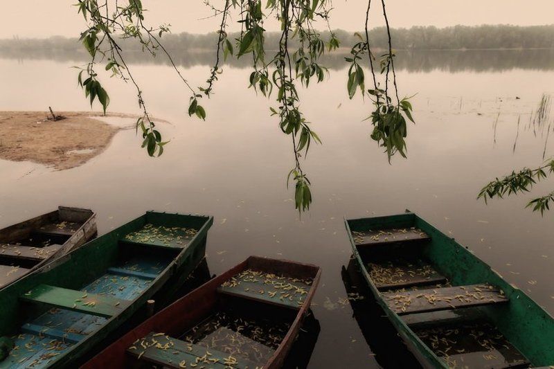 лодки ***photo preview