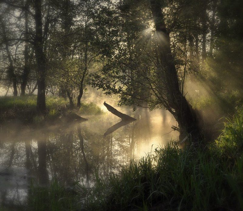 Волшебное утро фото превью