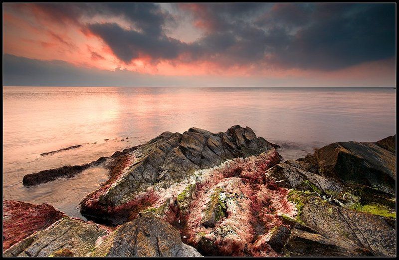 Melancholic seaphoto preview