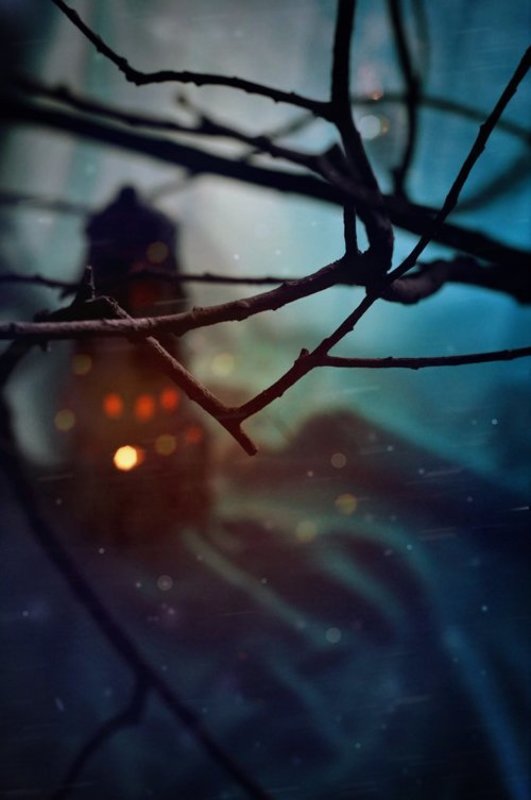 Уютный огонёкphoto preview