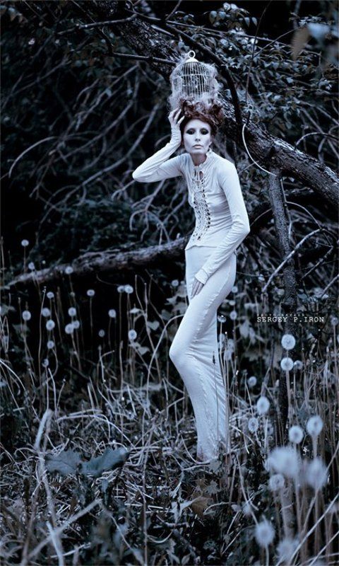 .................photo preview